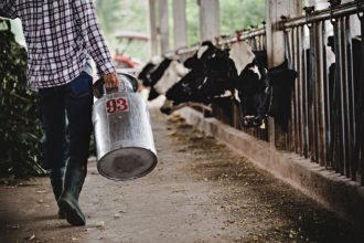 poljoprivrednik stočar